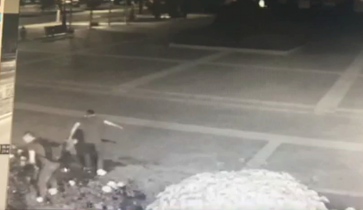 Глава Невинномысска жестко высказался по поводу вандалов, вырывающих розы на клумбах