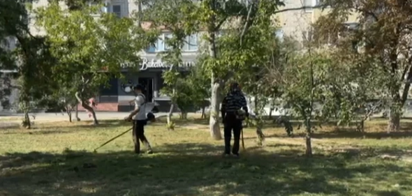В Невинномысске каждый день продолжают косить траву