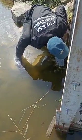 Невинномысские спасатели пришли на помощь утятам