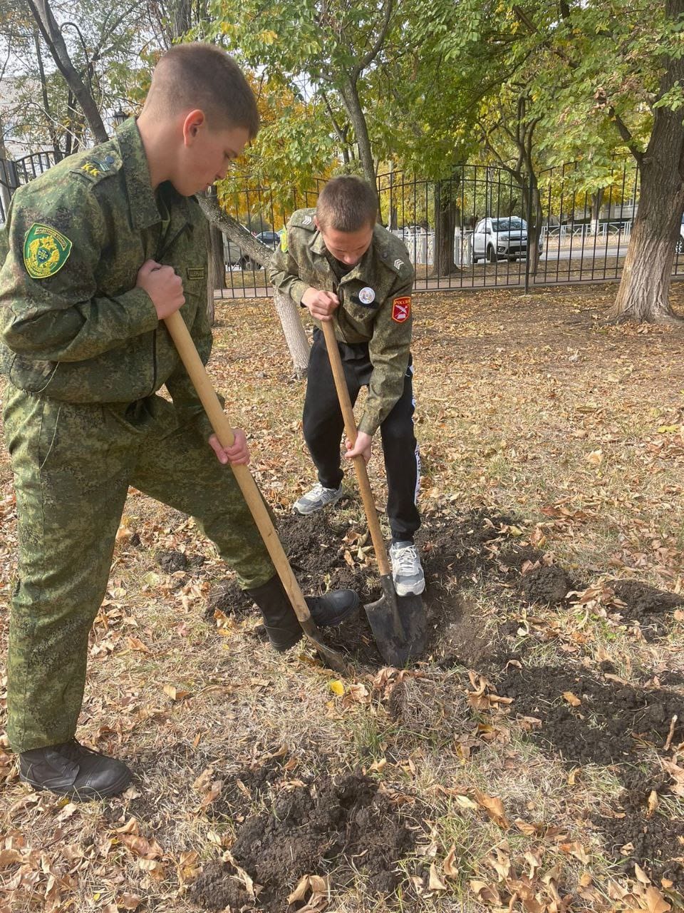 Жители Невинномысска высадили платаны, ивы и катальпы 