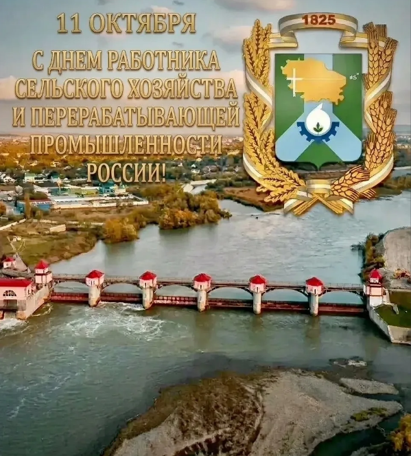 От хлеба до фруктовых садов: Невинномысск чествует работников сельского хозяйства и перерабатывающей промышленности